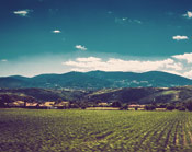 无障碍操作的doss网站攻击